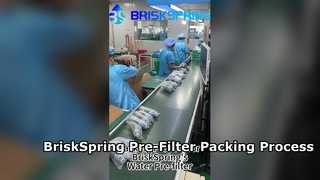 Bagaimana Pra-Filter Air Dikemas di Pabrik | Proses Pembuatan BriskSpring