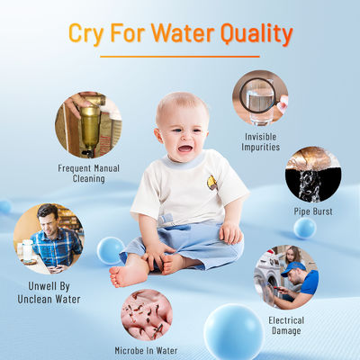 Seluruh Rumah 40 Micron Air Sediment Filter Untuk sumur dan air kota