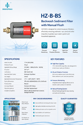 BriskSpring HZ-B-BS 40 Mikron Seluruh Rumah Sediment Pre Filter dengan SUS316L stainless steel Mesh dan 7 T / H Kapasitas Aliran Tinggi