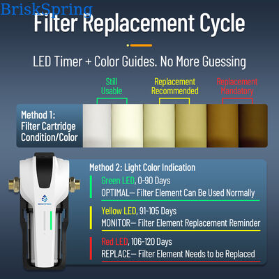 BriskSpring N1-2C-BS Compact Central Water Purifier with 3 T/H Flow Rate and Quick-Release Cartridge for 50,000 L Capacity